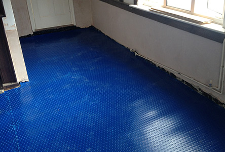 New damp course suffolk